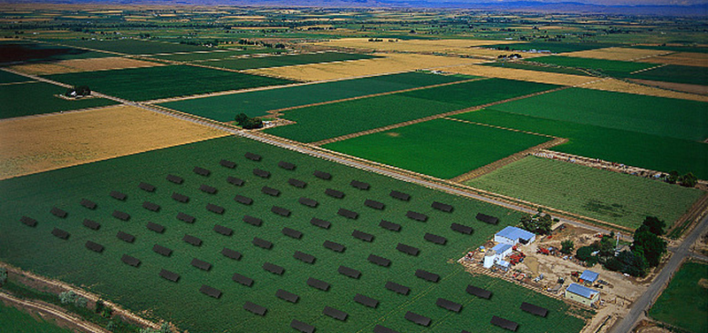 Idaho farmland