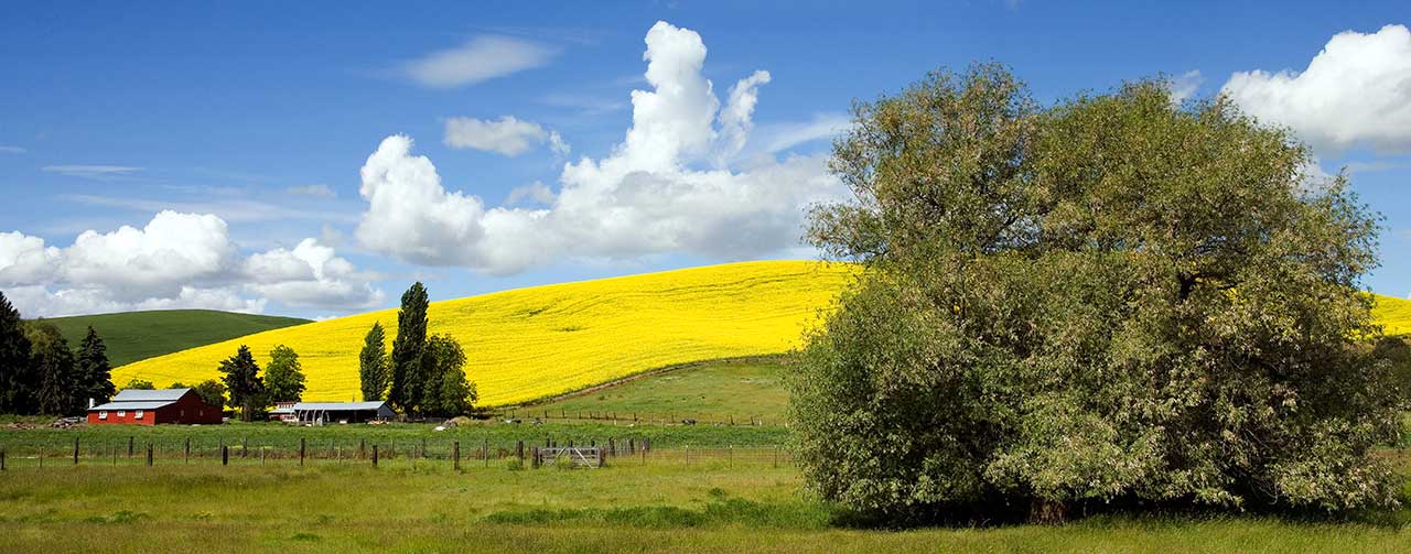 Idaho farm